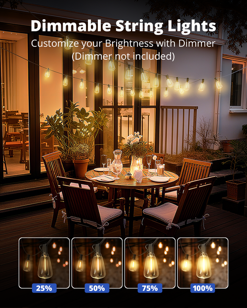 VIPAR Outdoor String Lights, 60FT LED Patio Lights Waterproof 28 ST38 Bulbs