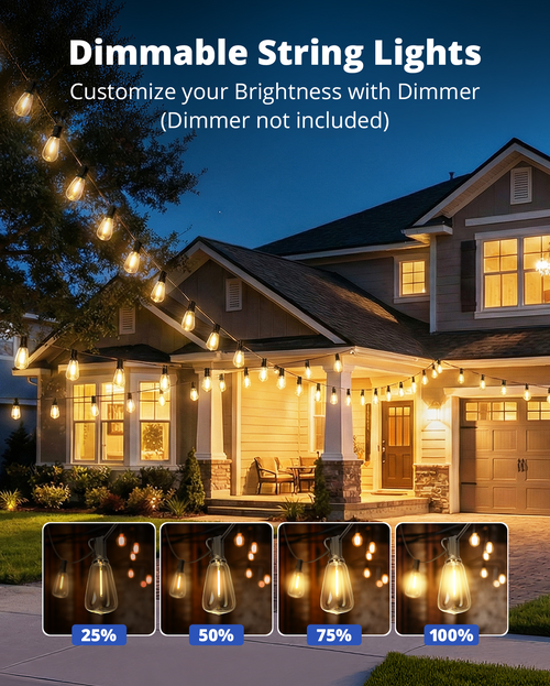 Outdoor String Lights 120FT, Outdoor Party Light with 58 Edison Lights Bulb